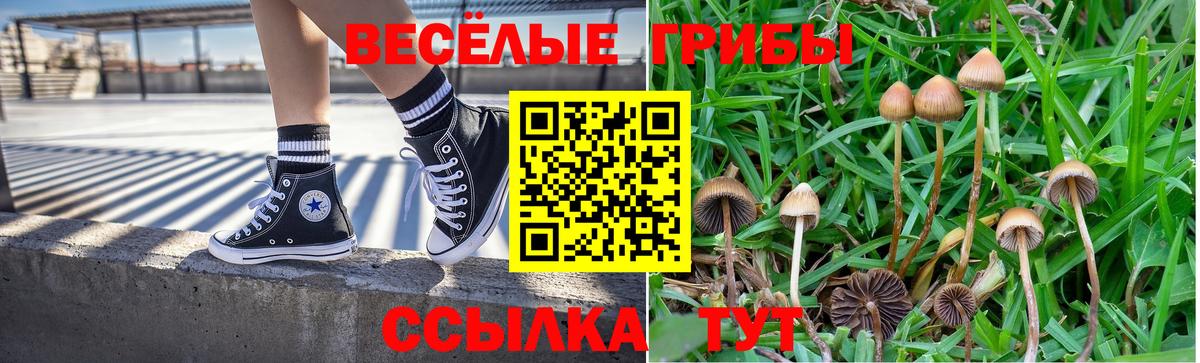 Псилоцибиновые грибы Psilocybe  Вход с VPN  Губаха 